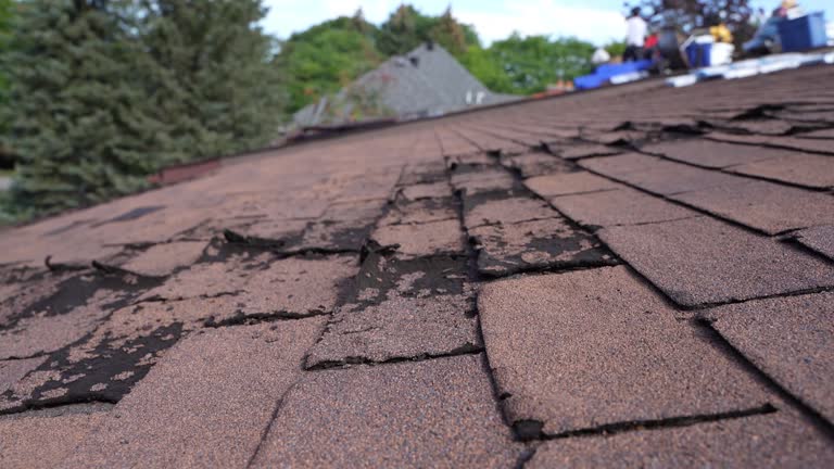 Best Roof Leak Repair  in Wapakoneta, OH